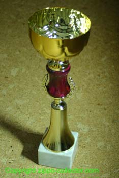 Cup for the most Zippos on Exhipition Meeting ZCA 2004