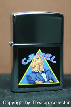 Z215 Camel Joe in Triangle