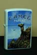Camel Beach Serie b