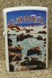 Camel Summer Serie c