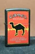 Z554 Camel Soundwave