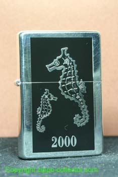 Seahorses
