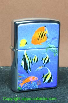 Tropical Fish