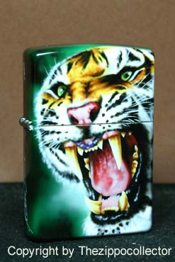 Tigre Roaring