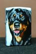 A Bonny, Gerhards dog, Sweet eyes, One of a kind, SPECIALY THANKS TO MY FRIEND CLAUDIO