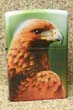 Falcon
