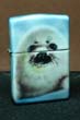 Foca a