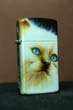 Gatto Slim
