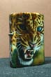 Leopardo a