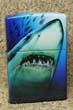 Shark Attack