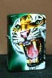 Tigre Roaring