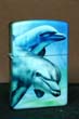 Two Dolphins