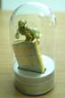 Windy Glasdome a